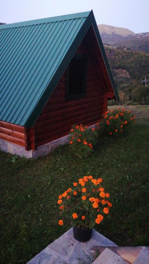 Etno Selo Zuric Villa โมจโคแวก ภายนอก รูปภาพ