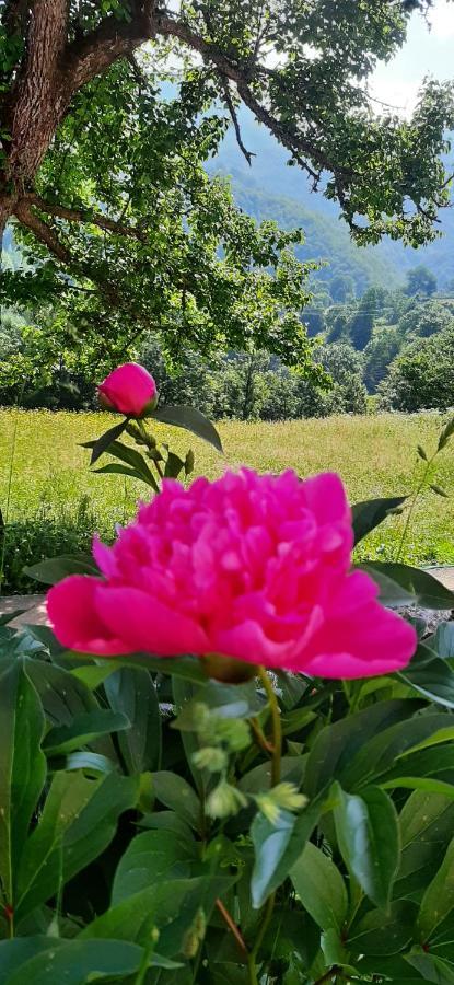 Etno Selo Zuric Villa โมจโคแวก ห้อง รูปภาพ